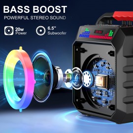 Karaoke Machine, Portable Wireless Speaker with 2 Wireless Microphones for Adults and, Light Effects, Auto-Tune DSP Chip, LED Display Screen, Supports TWS/TF Card/USB/AUX Live Streaming Functionality, for home Entertainment