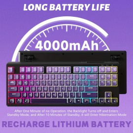 M87 75% Wireless Gaming Keyboard Membrane Silent Rainbow Backlit 2.4Ghz PBT Gradient Keycaps Rechargeable 4000mAh Battery Ergonomic for MAC/Win/PC
